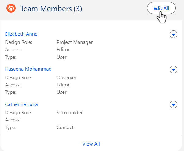 design file framework team members.PNG